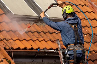 Démoussage et hydrofuge de toiture à Aussurucq